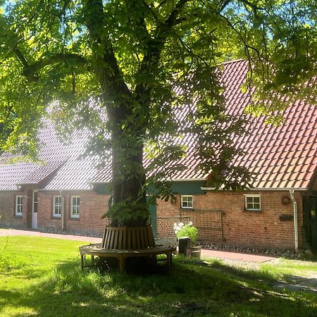Ferienwohnung Mit Garten In Meyenburg - Keine Monteure Schwanewede Dış mekan fotoğraf